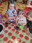 IMG_20250319_092016.jpg