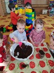 IMG_20250319_092019.jpg