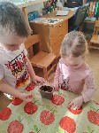 IMG_20250319_092505.jpg