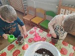 IMG_20250319_092844.jpg