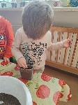 IMG_20250319_092847.jpg