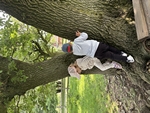 IMG_4103.jpeg